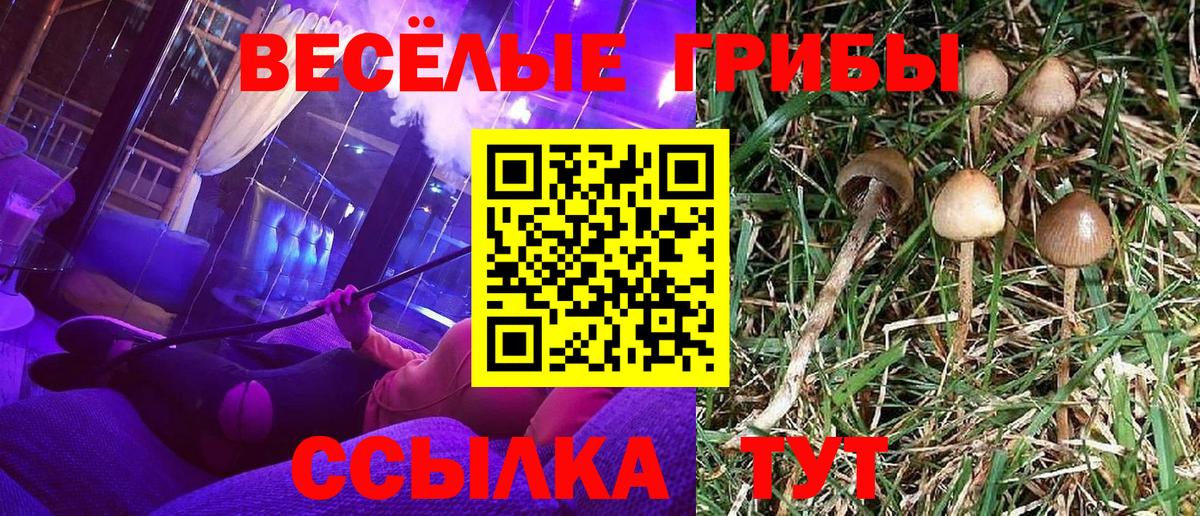 Галлюциногенные грибы ЛСД Дзержинск